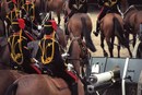 Gun carriages